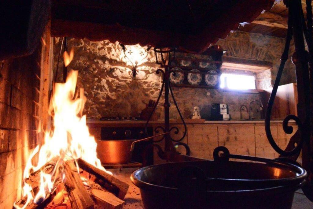 Chalet La Rite Dolomiti Masarie Экстерьер фото