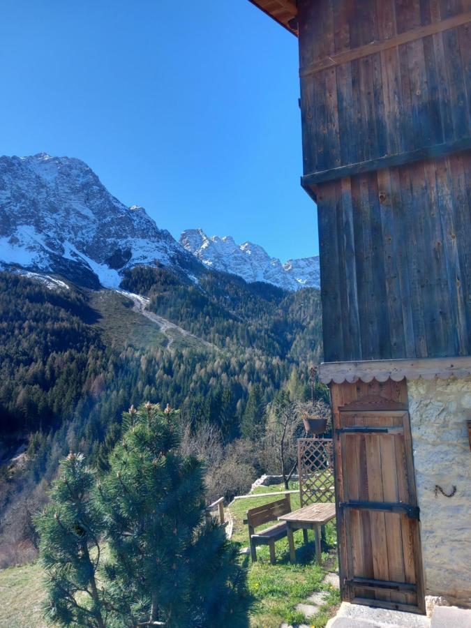 Chalet La Rite Dolomiti Masarie Экстерьер фото